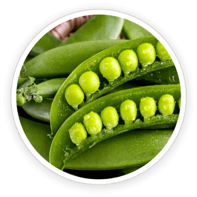 ingredient3