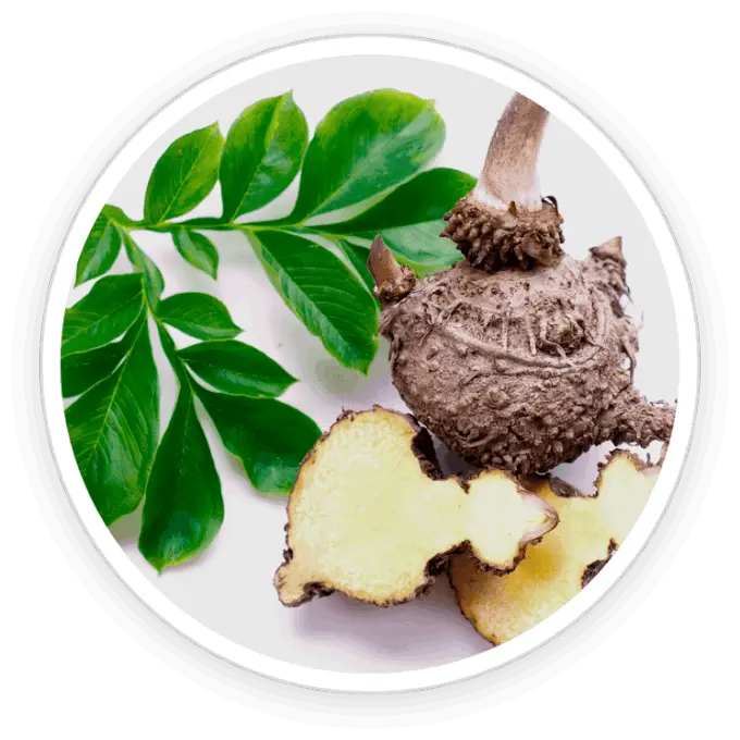 ingredient4